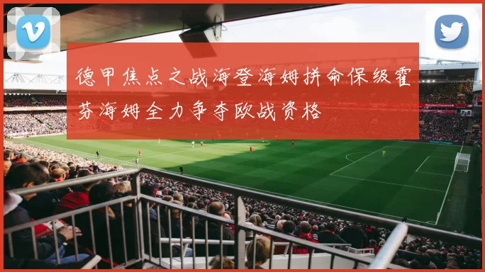 德甲焦点之战海登海姆拼命保级霍芬海姆全力争夺欧战资格